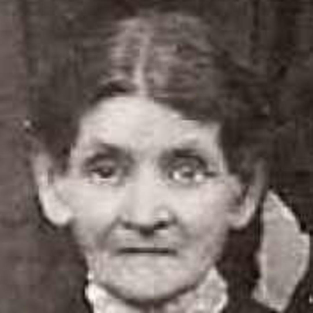 Cynthiann Record Merrill (1840 - 1909) Profile